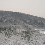 05年3月雪后的珞珈山.jpg